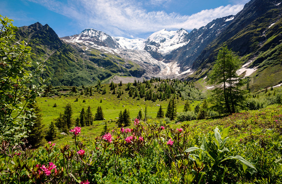 Chamonix-Mont-Blanc - 13 - MAGAZINs